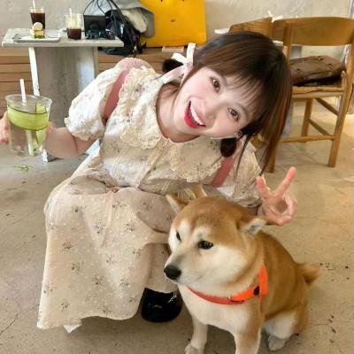 动画家庭
